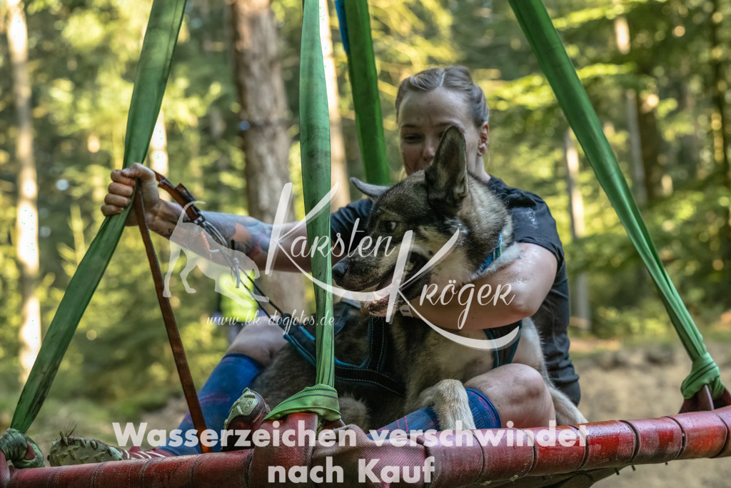 0944_ZZ91784-Bearbeitet | kk-dogfotos
