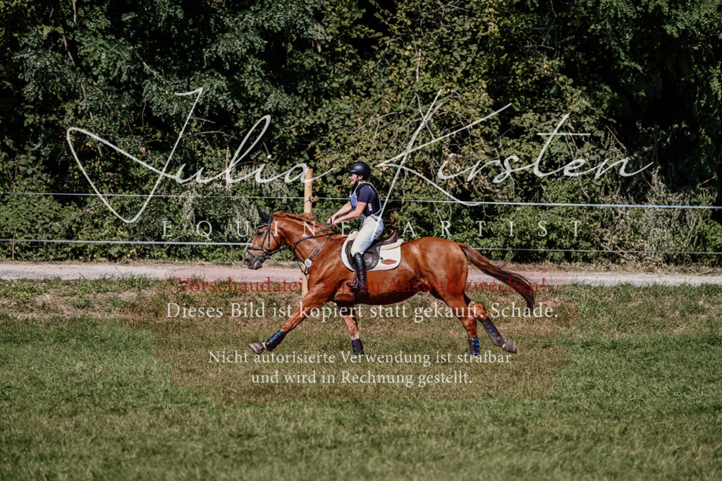 DSC_1891 | Pferde- und Turnierfotografie in Westsachsen. Pferdeportraits, Auftragszeichnungen und intuitive Kunst.