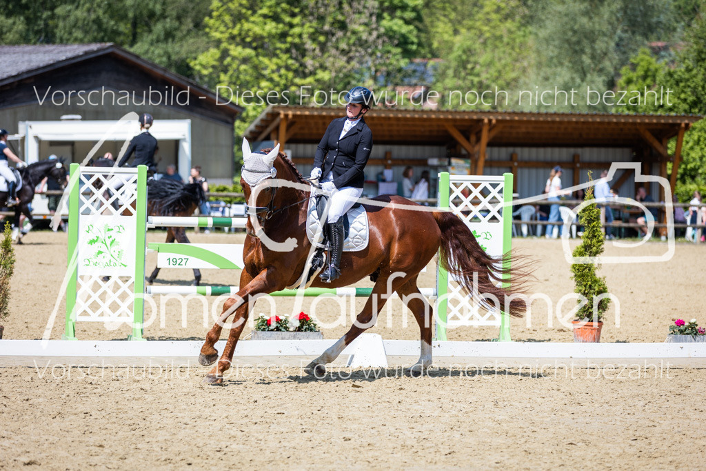 Donop24-L-Dre-079 | MomenTaufnahmen Pferdesportfotos