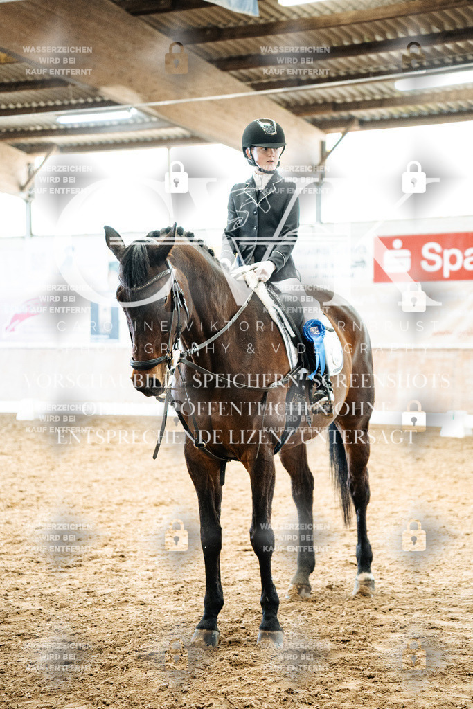 CK703104 | Turnierfotografie Pferdefotografie Trier Rheinland-Pfalz Pferdesport Reitsport Tierfotografie Sportfotografie Pferdevideo Pferdevideografie Equestrianvideography equestrianphotography  - Realisiert mit Pictrs.com