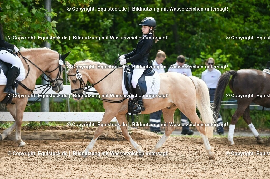 20230716_10-3_Reiter-WB Schritt - Trab - Galopp_0107 | equistock