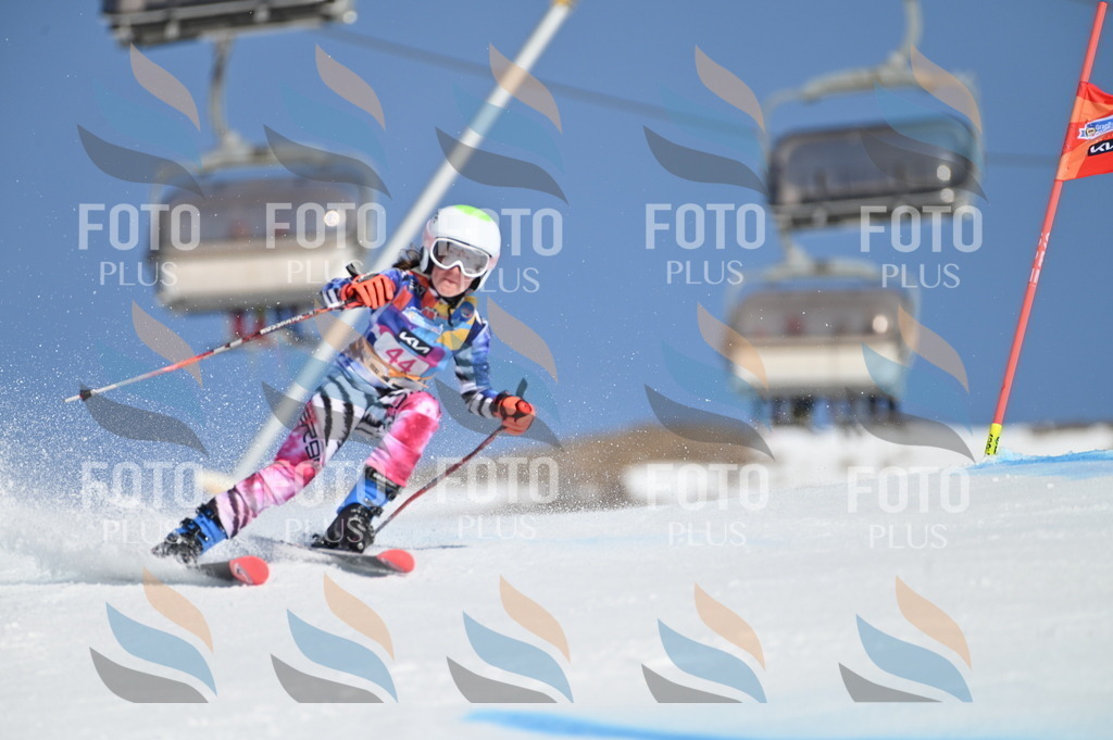 BGV_8423 | holidayphoto