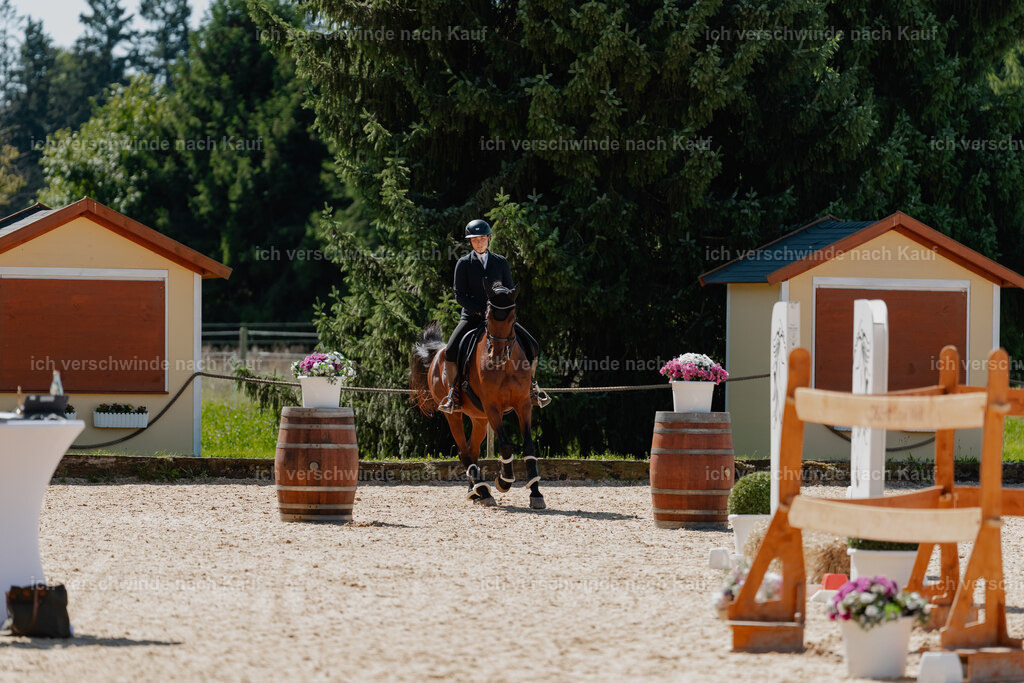 Nadine22_FHC2025-75 | working equitationturnier fotograf videograf stoibphotography marixx film working equitation deutschland reitsport turnierfotografie eventfotografie equestrian events