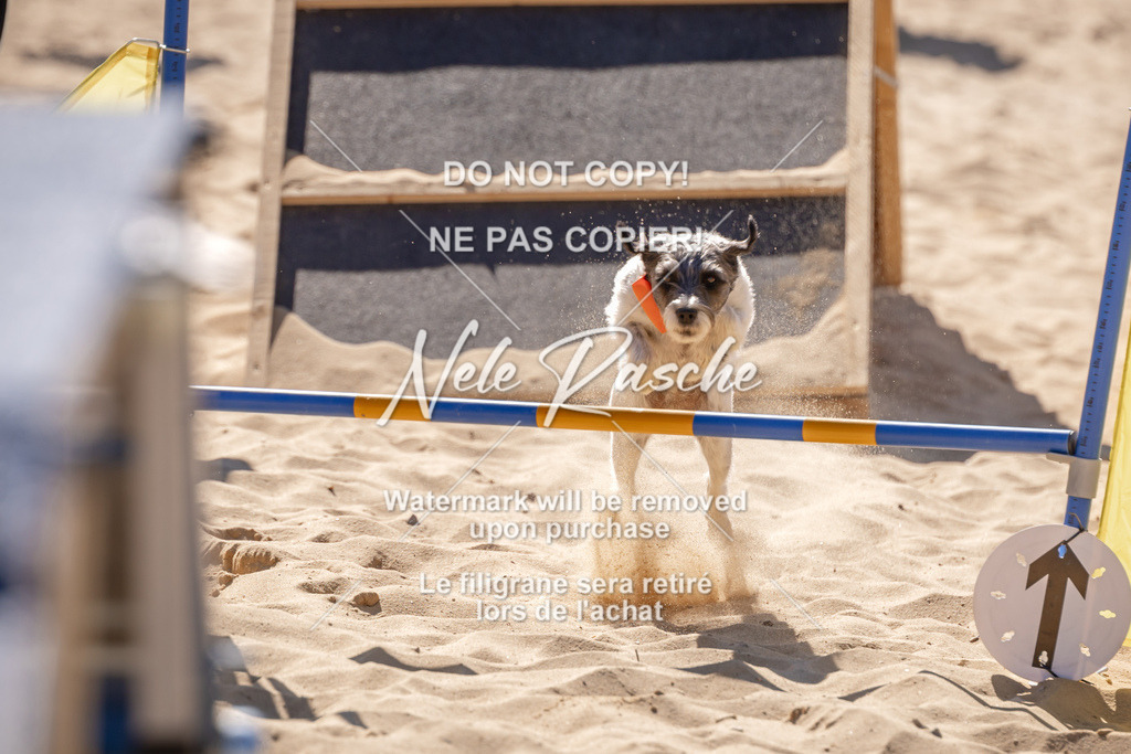 NR__0939 | nelerasche