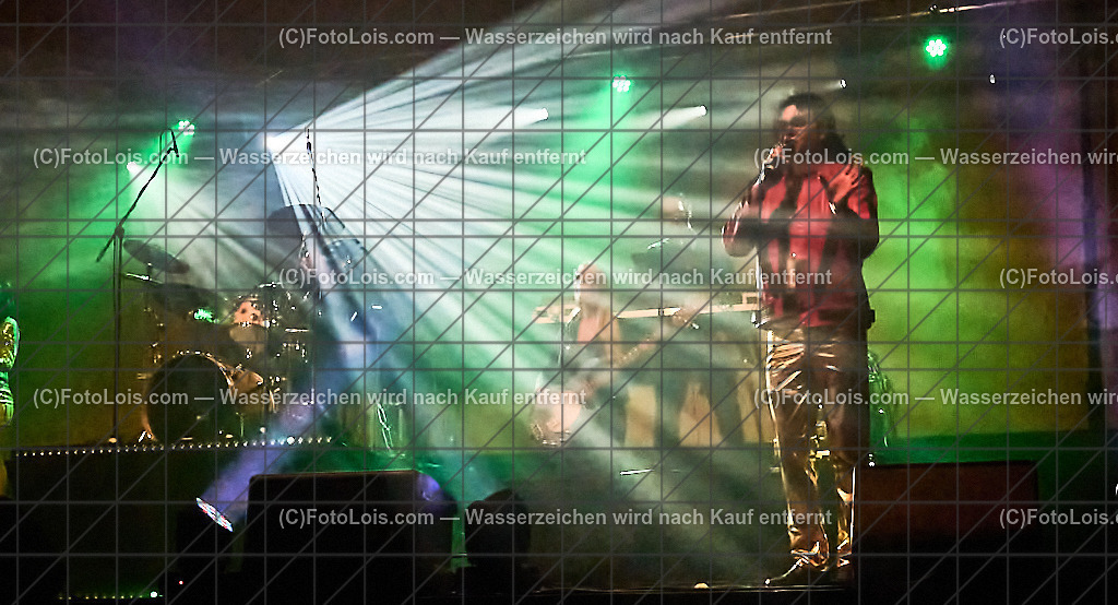 ALP5878_Tribute_Michael Jackson_Wieselburg | (C)FotoLois.com, Alois Spandl.  Michael Jackson Tribute-Konzert im Wieselburger NV-Forum, Mi 30. Oktober 2024.