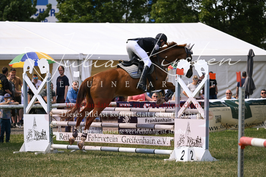 DSC_0371 | Pferde- und Turnierfotografie in Westsachsen. Pferdeportraits, Auftragszeichnungen und intuitive Kunst.