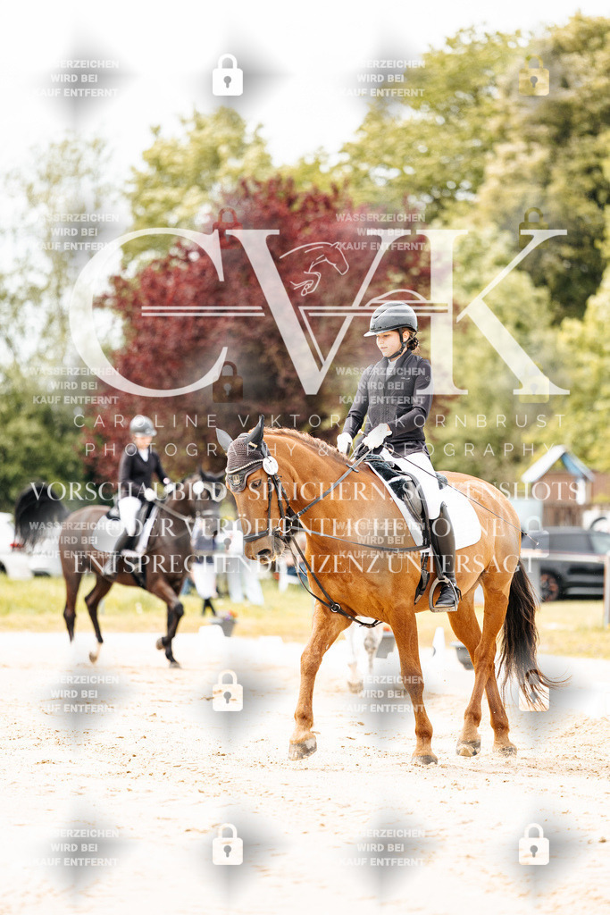 CK902713 | Turnierfotografie Pferdefotografie Trier Rheinland-Pfalz Pferdesport Reitsport Tierfotografie Sportfotografie Pferdevideo Pferdevideografie Equestrianvideography equestrianphotography  - Realisiert mit Pictrs.com