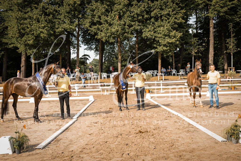 FrER00278 | Leoni Ertmer Photography - Realisiert mit Pictrs.com