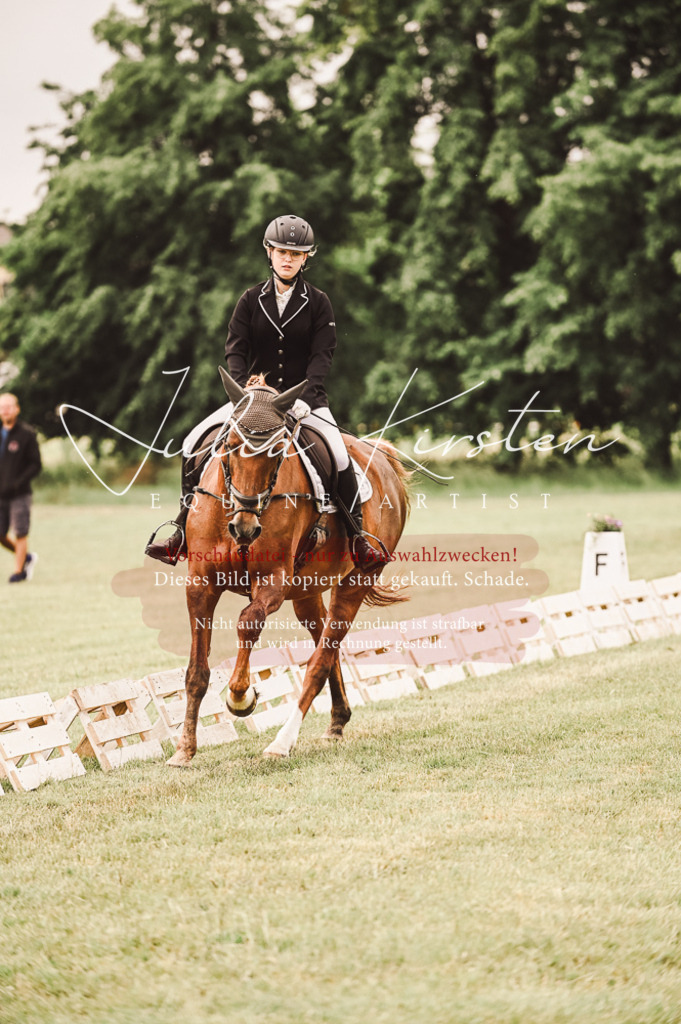 DSC_4829 | Pferde- und Turnierfotografie in Westsachsen. Pferdeportraits, Auftragszeichnungen und intuitive Kunst.