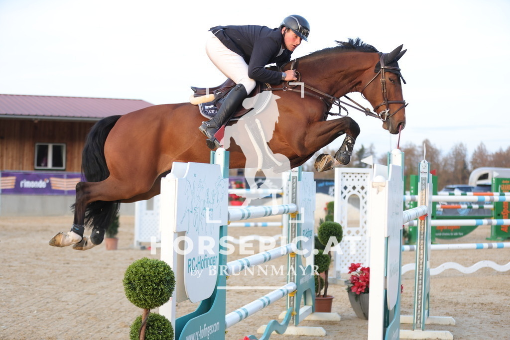 0P6A3606 | Willkommen bei Brunnmayr - Design & Fotografie – Ihrem Spezialisten für Reitturniere und Pferdeveranstaltungen in Oberösterreich, Salzburg und Bayern! Seit über 17 Jahren sind wir leidenschaftlich dabei.