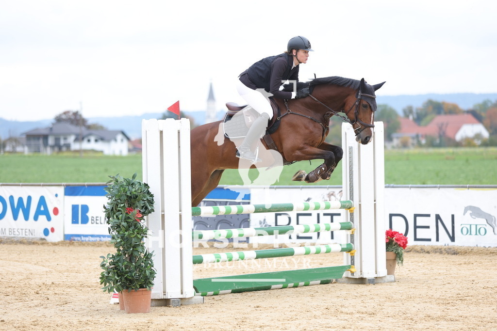 0P6A2855 | Willkommen bei Brunnmayr - Design & Fotografie – Ihrem Spezialisten für Reitturniere und Pferdeveranstaltungen in Oberösterreich, Salzburg und Bayern! Seit über 17 Jahren sind wir leidenschaftlich dabei.