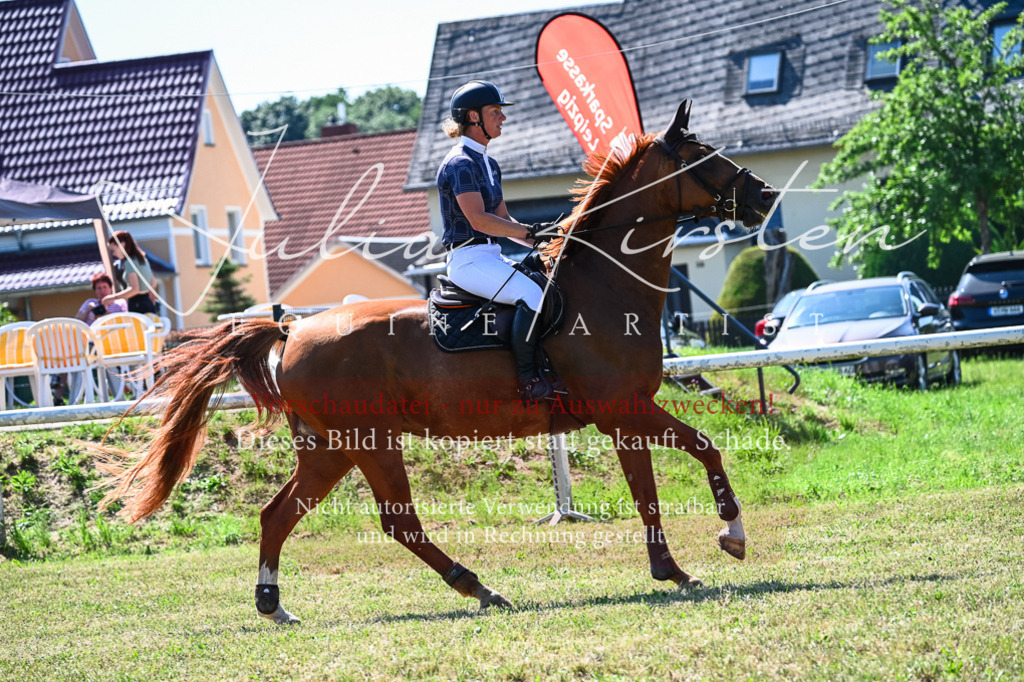 DSC_1567 | Pferde- und Turnierfotografie in Westsachsen. Pferdeportraits, Auftragszeichnungen und intuitive Kunst.