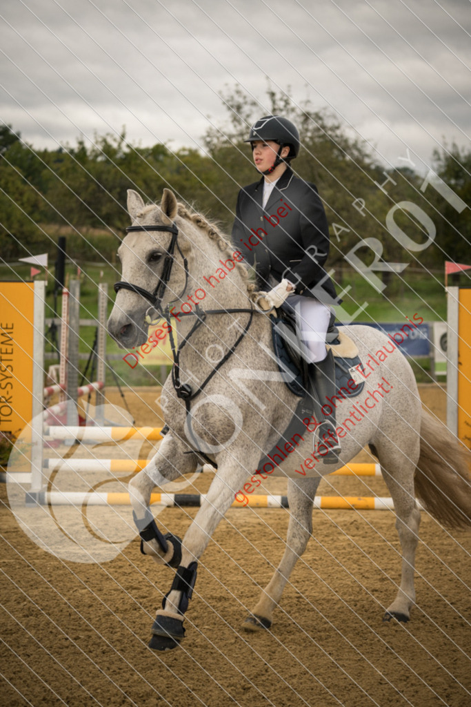 DSC_7408 | Sport-, Event- und Tierfotos in Profiqualität. Einfach auswählen, bestellen und herunterladen. Dein Moment – perfekt festgehalten.