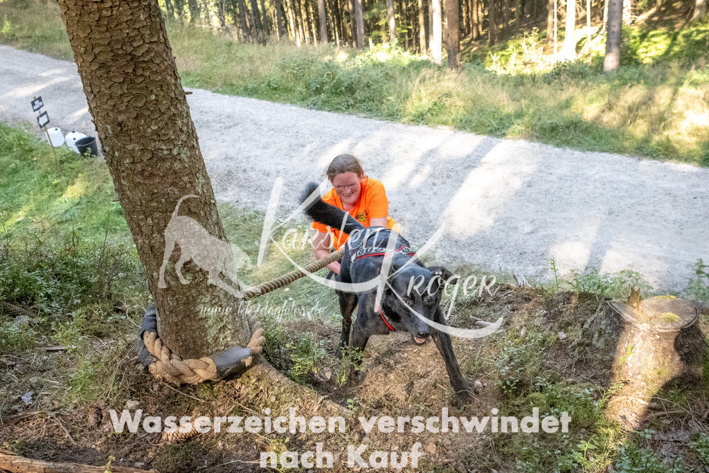 1058_ZZ93960 | kk-dogfotos