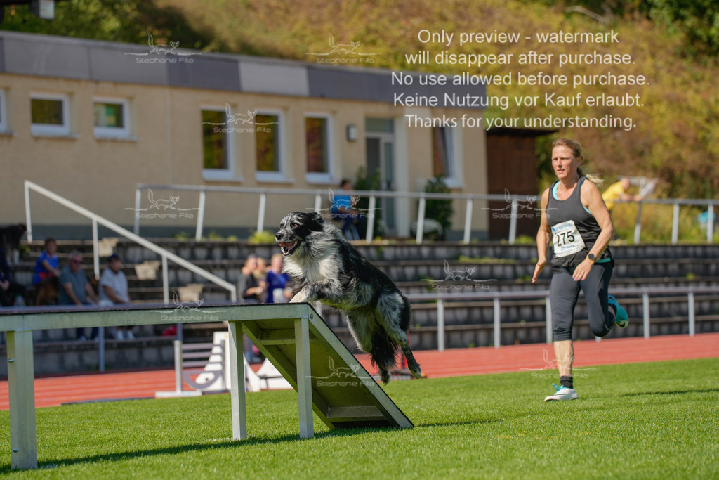 Sonntag_VK Hindernis (512 von 671) | stephaniefillaphotographie - Realisiert mit Pictrs.com