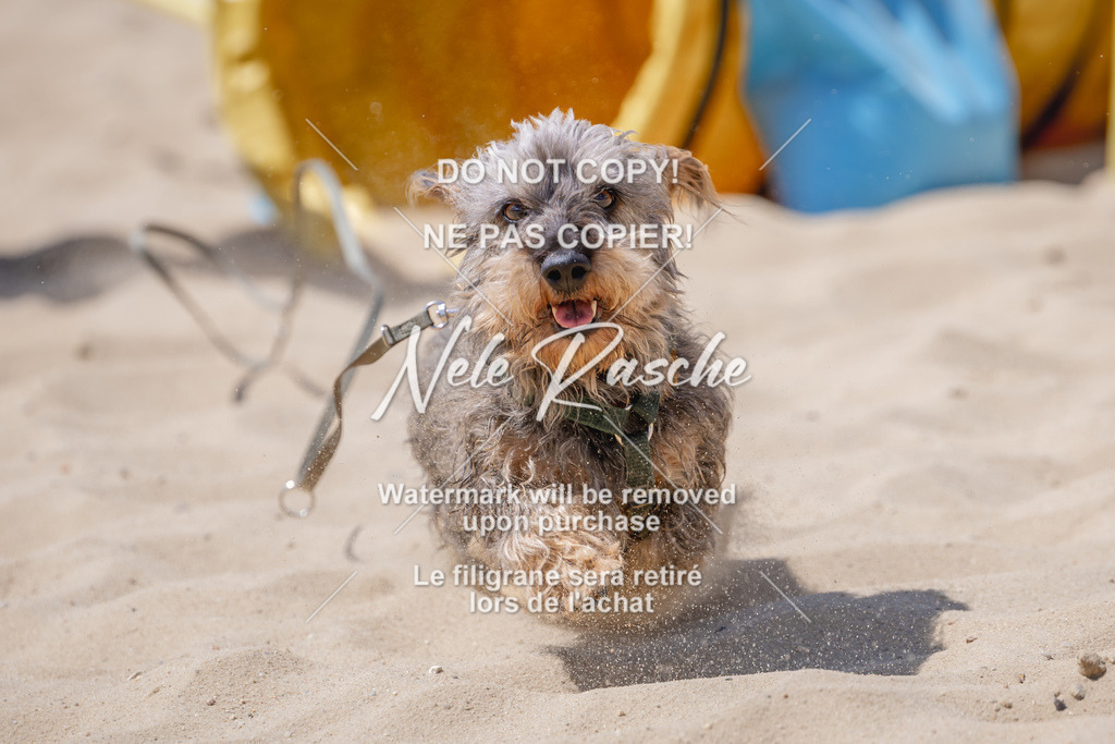 NR__2767 | nelerasche