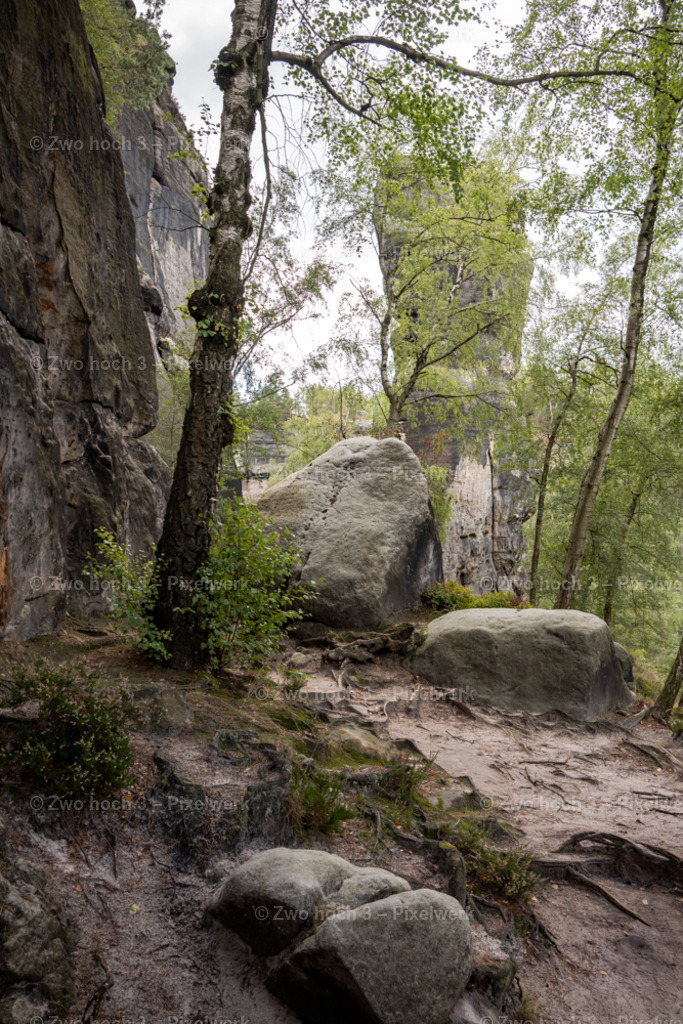 Frienstein_Friensteinwaechter_Felswand_Felsblock_Baumstamm | 2022-09-02_Waldbrandgebiete_2 - Realisiert mit Pictrs.com