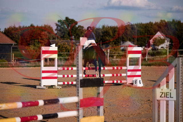2026_10_03_Siefer-Hof_171553_Z81_13688992 | Professionelle Reitsport-, Turnier- und Eventfotografie von Robert Broda. Galerien mit ausgewählten und bearbeiteten Bildern direkt online ansehen und bestellen.