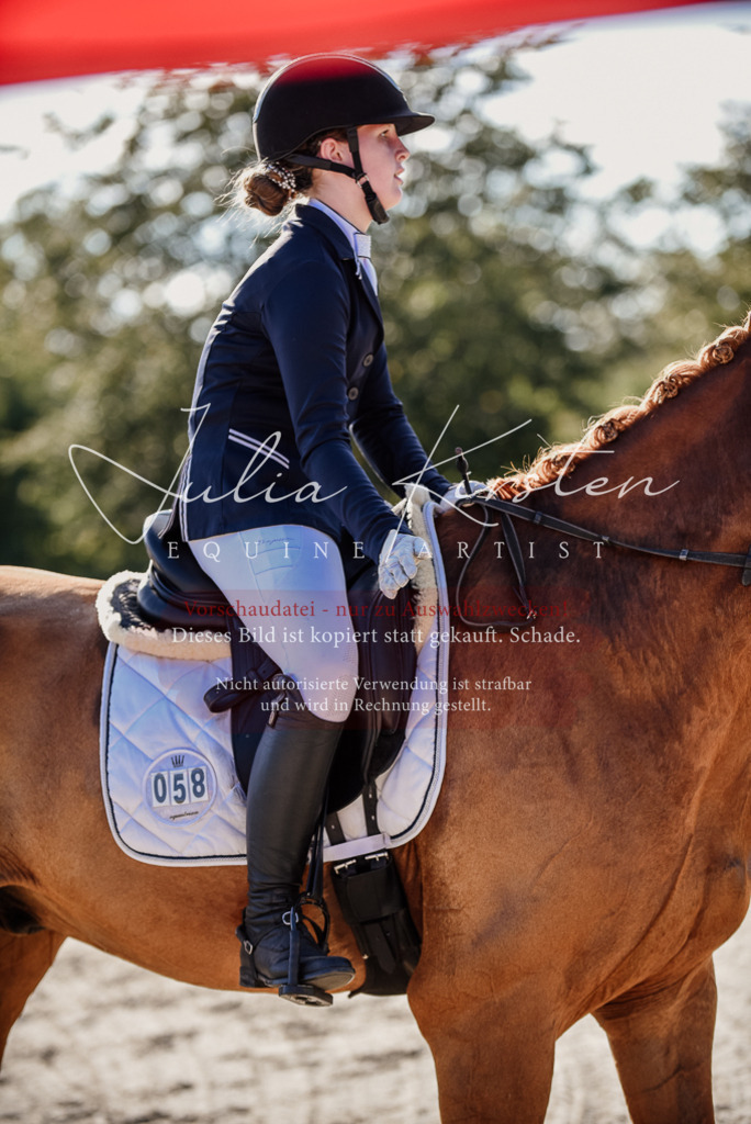 DSC_0541 | Pferde- und Turnierfotografie in Westsachsen. Pferdeportraits, Auftragszeichnungen und intuitive Kunst.