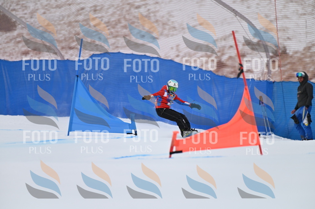 BGV_4798 | holidayphoto