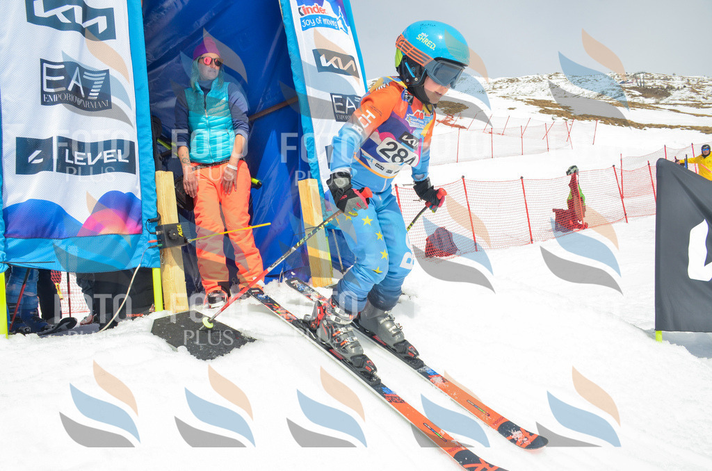 _ELE7991 | holidayphoto