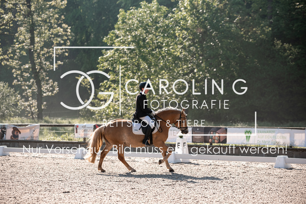 DSC_8880 | Turnierfotografin Carolin Gieschke, Turnierfotografie Carolin G Fotografie, Turnierfotos Kirchheim/Teck, Esslingen, Stuttgart, Bodenseekreis