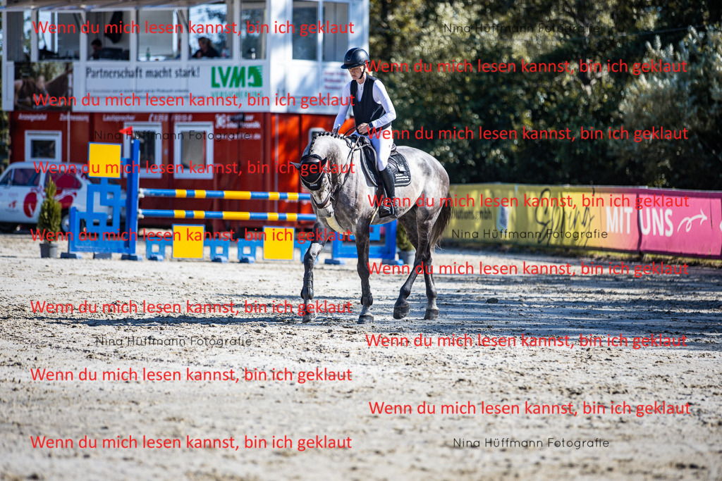 BK1A5738 | Turnierbilder Turnierfotos Nina Hüffmann Turnierfotografie Pferdefotografie Tierzeichnung Haustierzeichnung Pferdezeichnung Hundezeichnung Videograf  - Realisiert mit Pictrs.com