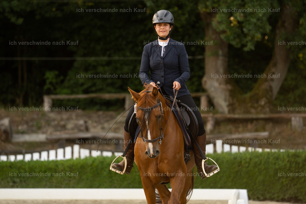 WA_DR_64_SinaFilmArt_IN09982 | working equitationturnier fotograf videograf stoibphotography marixx film working equitation deutschland reitsport turnierfotografie eventfotografie equestrian events