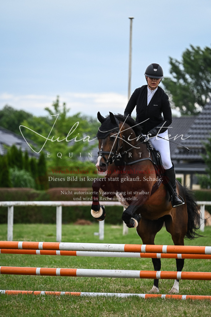 DSC_8429 | Pferde- und Turnierfotografie in Westsachsen. Pferdeportraits, Auftragszeichnungen und intuitive Kunst.