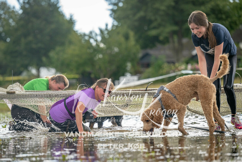 1355_ZZ90406 | kk-dogfotos