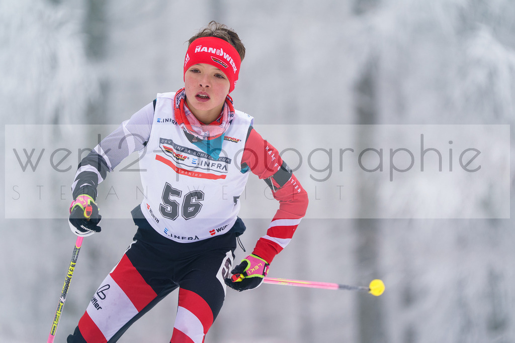 DSC Altenberg | 2. DSV E.INFRA Schülercup Biathlon in der SPARKASSEN-Arena Altenberg am 23. - 25. Januar 2026