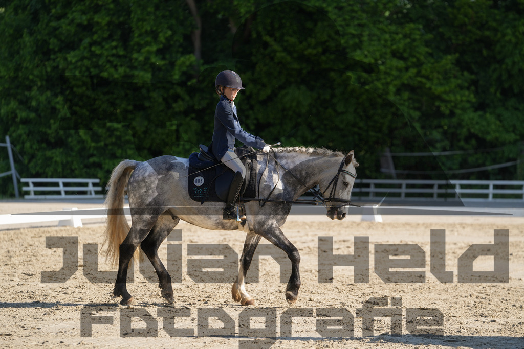 DSC02763 | Julian Held Fotografie - Realisiert mit Pictrs.com