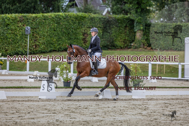 DRE L 6j (423 von 969) | mandyhollmannphotographie
