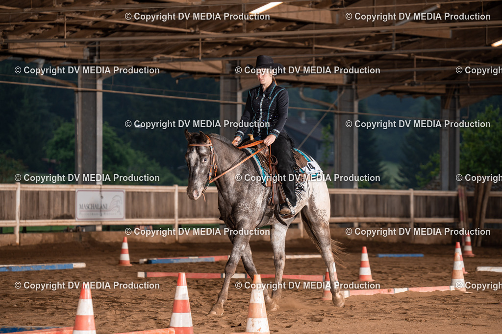 Erbach Tag 2-74 | dv-media-shop - Realisiert mit Pictrs.com