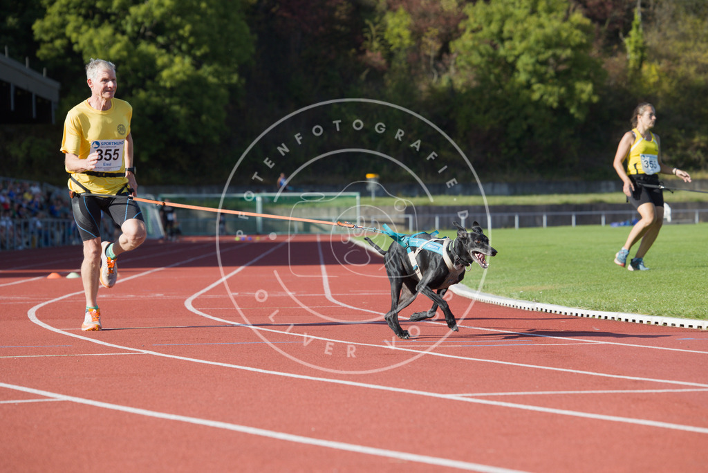 0L8A9989 | Hundefotografie, Tierfotograf, Pfotenfotografie, Fotoshooting Hund, Hunde Portrait, Hundesport, Hundeportraits, Heideshooting, Hunde, Sportfotograf, Hundefotograf, Turnierhundsport, THS,  - Realisiert mit Pictrs.com
