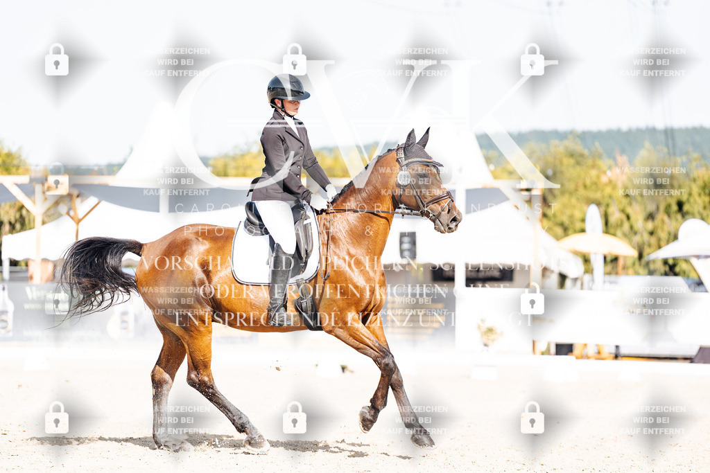 CK905728 | Turnierfotografie Pferdefotografie Trier Rheinland-Pfalz Pferdesport Reitsport Tierfotografie Sportfotografie Pferdevideo Pferdevideografie Equestrianvideography equestrianphotography  - Realisiert mit Pictrs.com