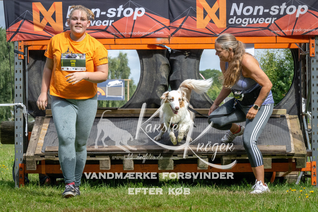 1136_ZZ92733 | kk-dogfotos