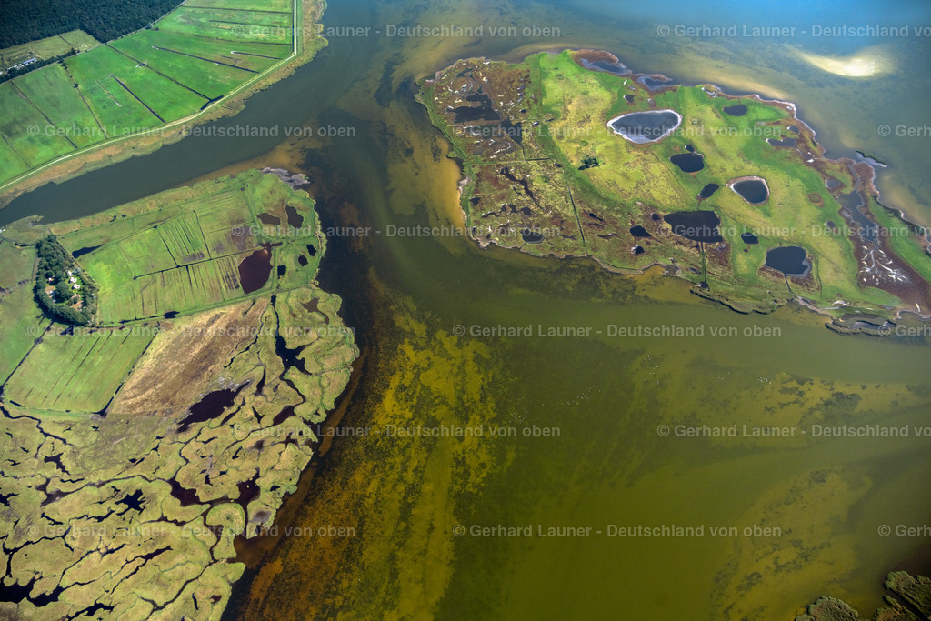 4061782 | Nationalpark Vorpommersche Boddenlandschaft, Oie, Große Kirr, Nationalpark Vorpommersche Boddenlandschaft, ZINGST 08.09.2021 Salzgrasland -Insel und Vogelschutz -Gebiet in Zingst im Bundesland Mecklenburg-Vorpommern. // Salt grassland island and protection of birds area in Zingst in the federal state Mecklenburg-West Pomerania. Foto: Gerhard Launer