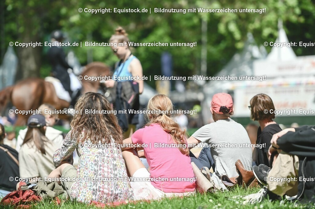 D78_2919 | equistock