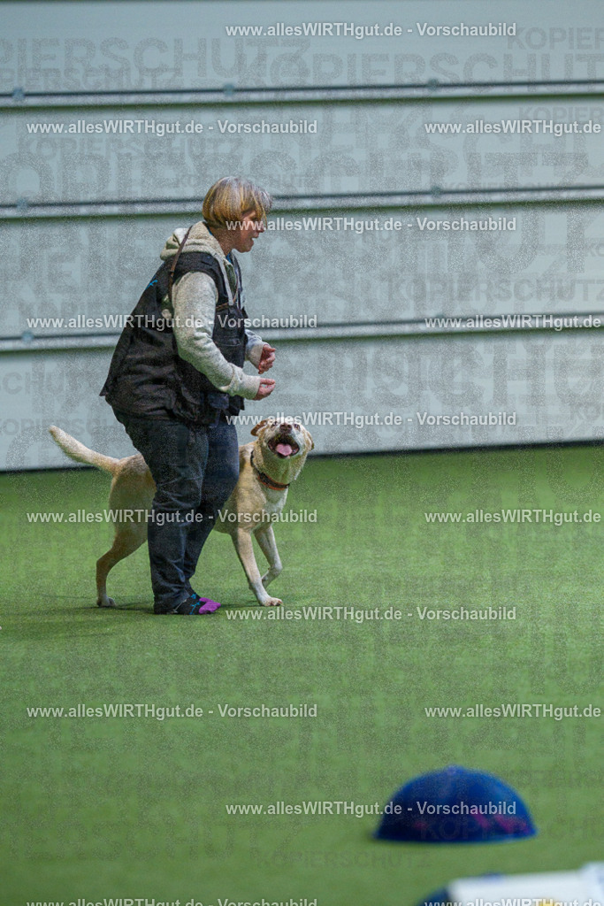 7R506331 | Professionelle Tierfotografie in Mönchengladbach von Daniel Wirth (allesWIRTHgut). Liebevolle & natürliche Bilder von Hunden & Katzen für unvergessliche Erinnerungen.