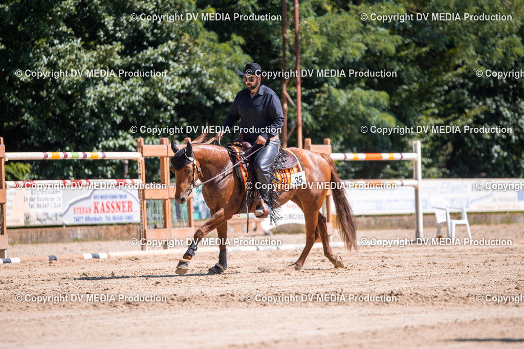 ZS1_0973 | dv-media-shop - Realisiert mit Pictrs.com