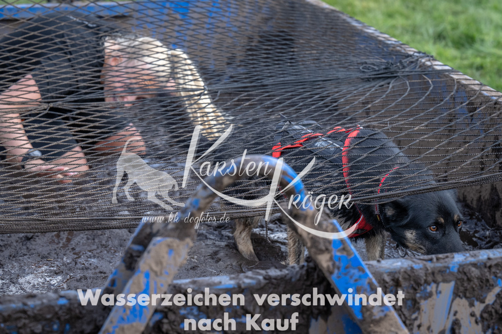 1409_ZZ91041 | kk-dogfotos