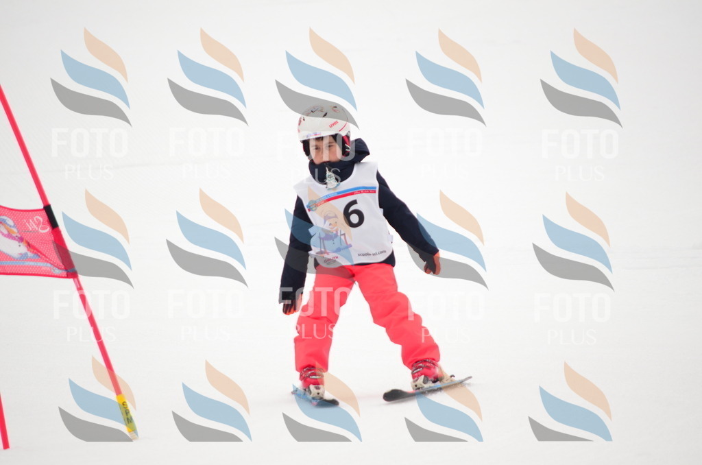 B9231 | holidayphoto