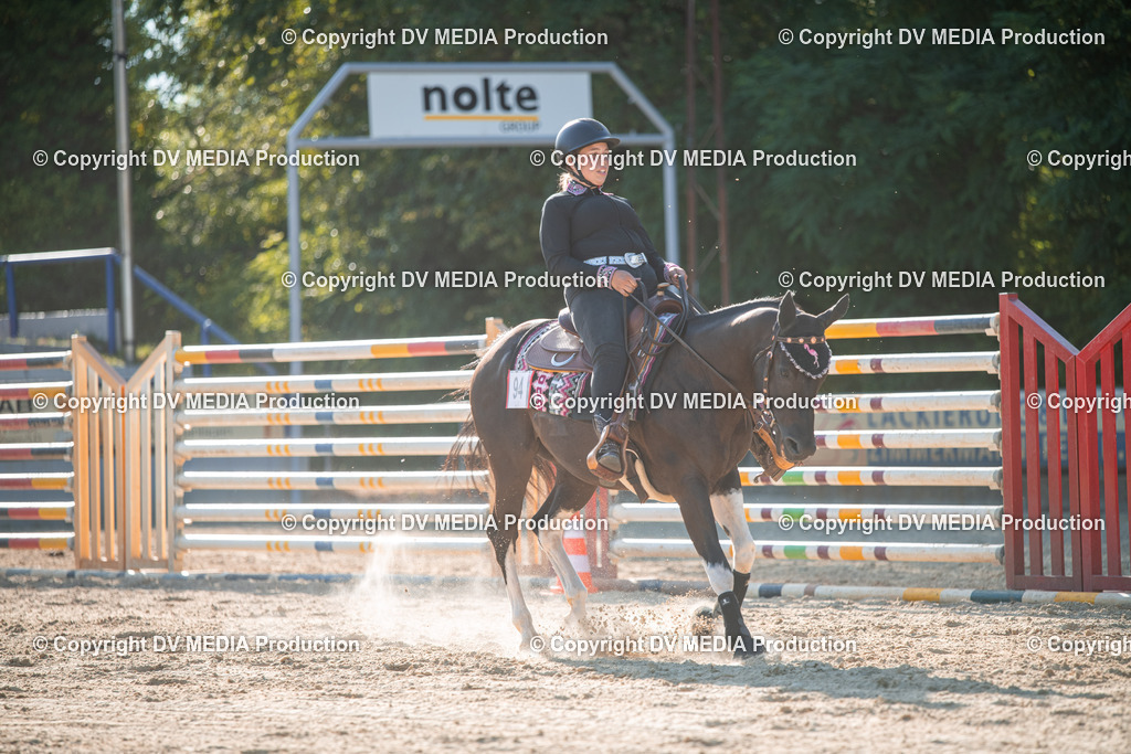 EWP_7096 | dv-media-shop - Realisiert mit Pictrs.com