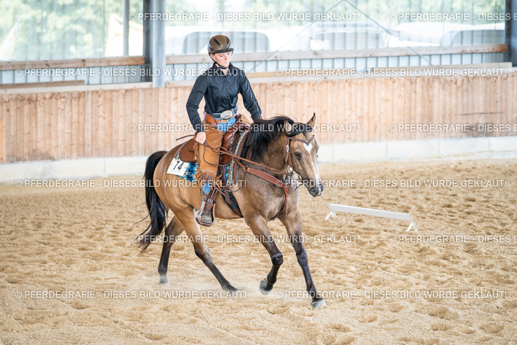 DSC03383 | Pferdegrafie