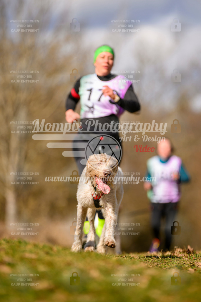 MompixPhotography_10Schwabentrail2026_SO_Canicross-97 | PayLife