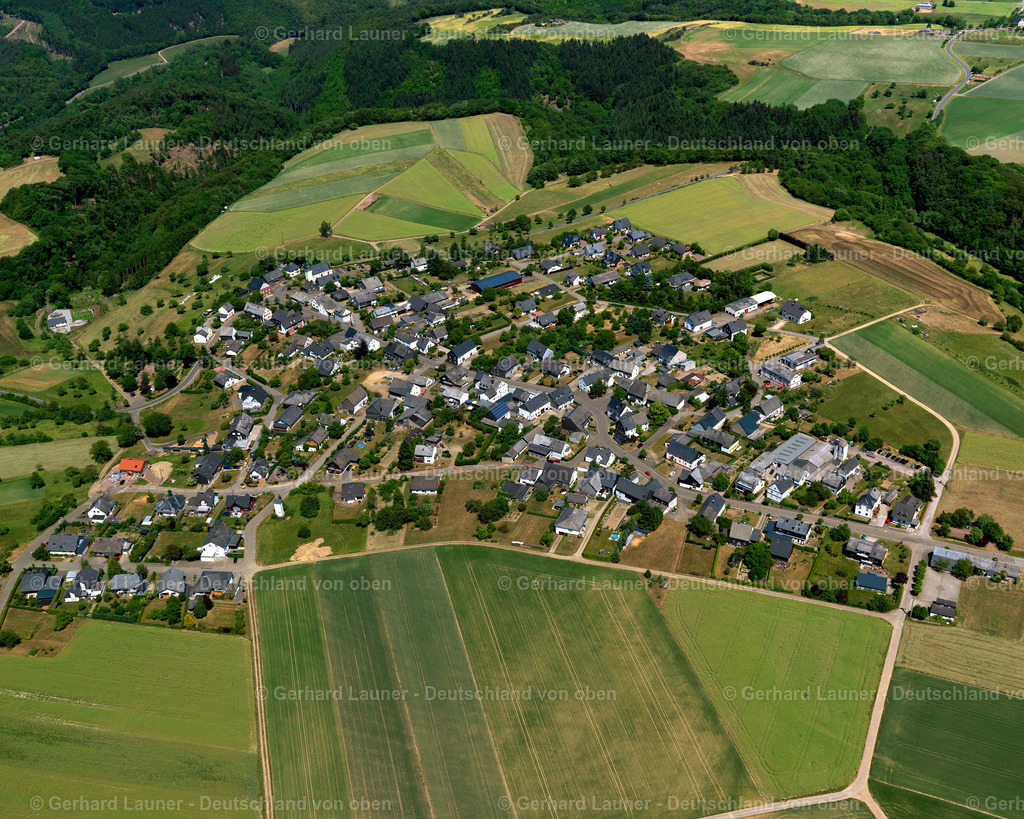 Liesenich-3114536 | Liesenich