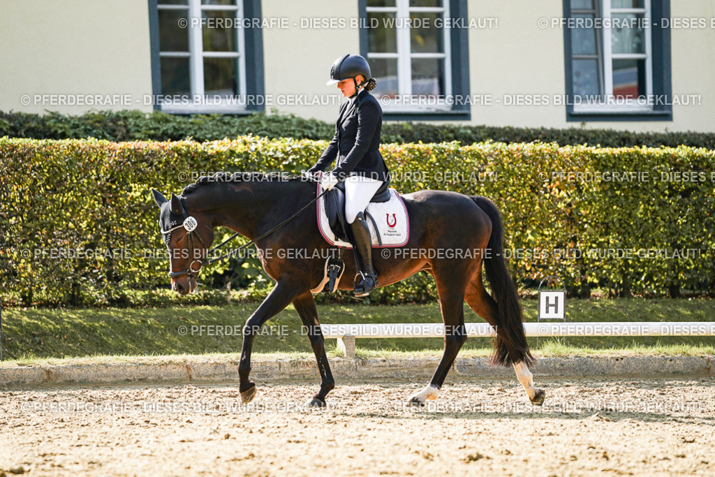 DSC07156 | Pferdegrafie