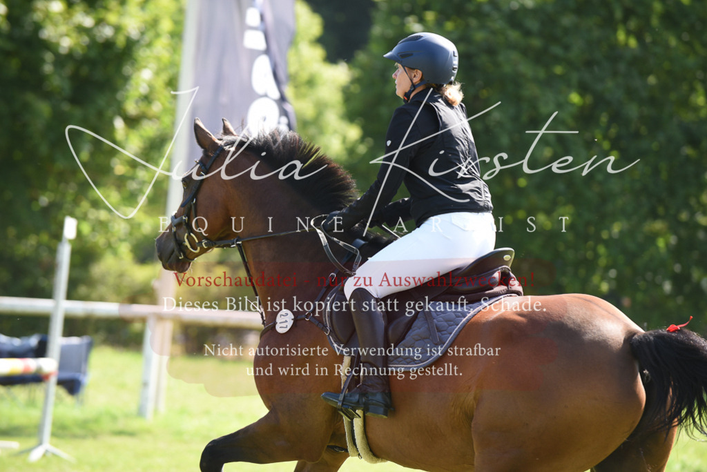 DSC_9097 | Pferde- und Turnierfotografie in Westsachsen. Pferdeportraits, Auftragszeichnungen und intuitive Kunst.