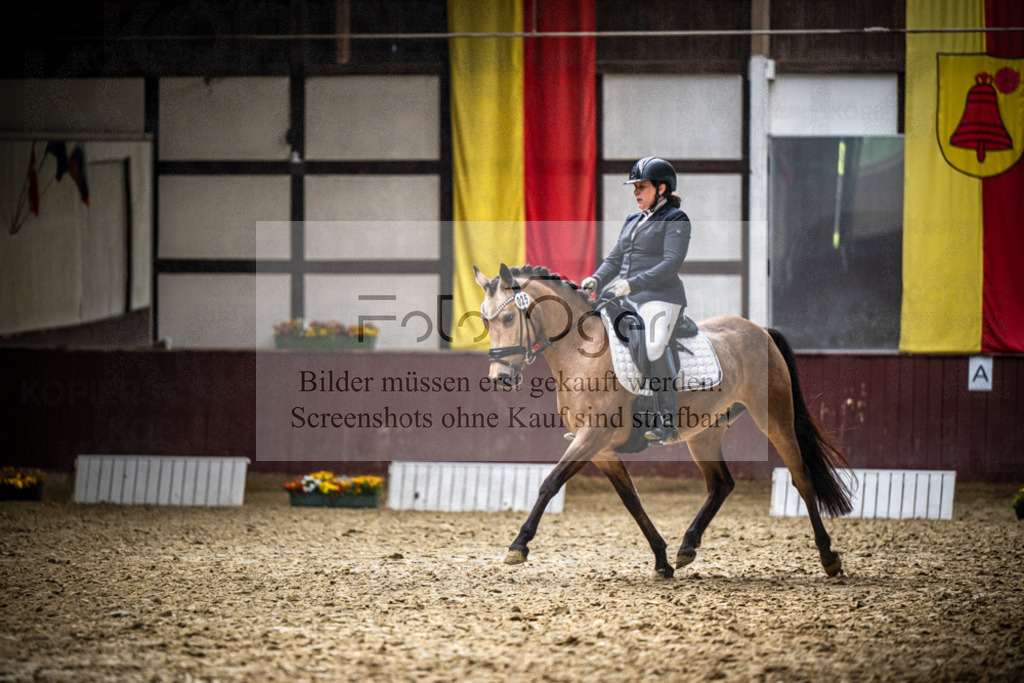 DOS_1728 | Reitturnier Lüdinghausen - Realisiert mit Pictrs.com